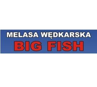 Melasa big fish PISCARI